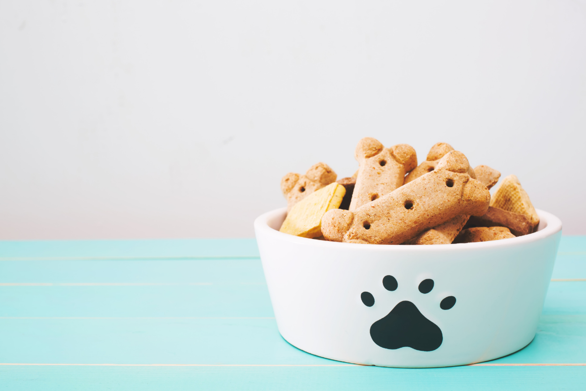 Dog friendly restaurant London.